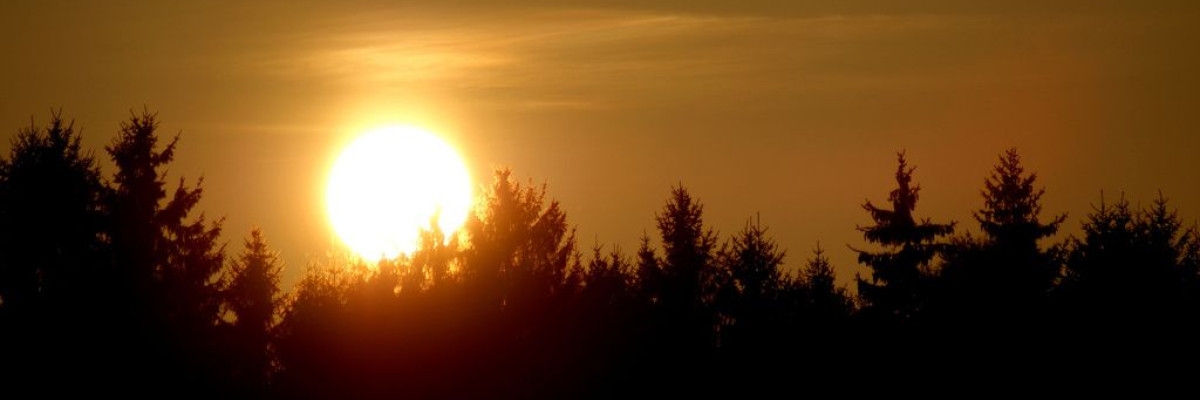 Groot Deel Nederlandse Topsporters Heeft Vitamine D Tekort