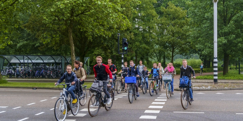 Gepensioneerd onkruid Makkelijker maken Zo kun je kinderen stimuleren om te fietsen of lopen naar school –  Allesoversport.nl
